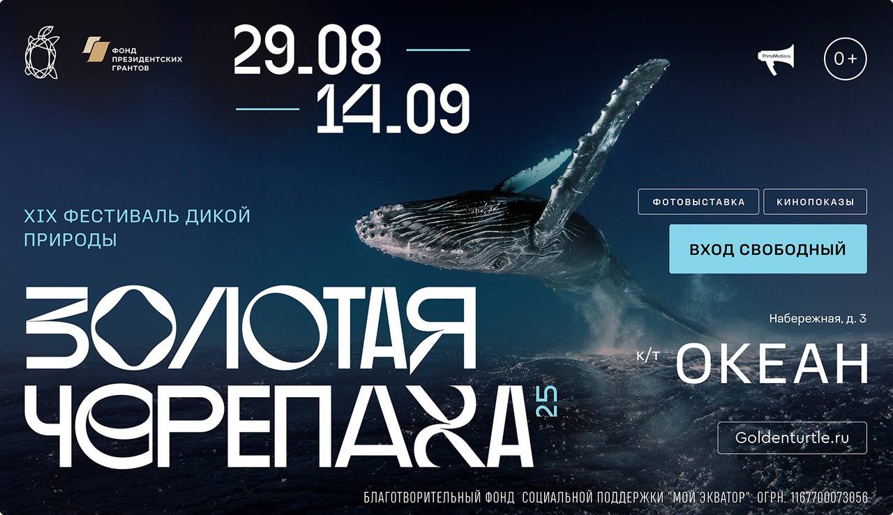 Золотая черепаха украсит культурную программу ВЭФ 2025 100 лучших фотографий дикой природы покажут в Приморье Крупнейший эколого просветительский интерактивный и культурный проект в мире международный фестиваль дикой природы Золотая черепаха откроет свои двери с 29 августа по 14 сентября для жителей и гостей Владивостока в кинотеатре Океан Помимо уникальных фотографий в программе кинопоказы лектории мастер классы и экскурсии Фестиваль станет частью программы культурных событий 10 го Восточного экономического форума Вход для всех желающих свободный На экспозиции проекта будут представлены 100 фоторабот финалистов одного из самых престижных международных конкурсов фотографии в мире The Golden Turtle включающих уникальную коллекцию Природа Дальнего Востока В интерактивной программе фестиваля запланированы кинопоказы лектории тематические дни мастер классы нарративные эколого образовательные экскурсии для школьников жителей и гостей Приморья Торжественное открытие международного фестиваля дикой природы Золотая черепаха состоится 29 августа В открытом пространстве кинотеатра Океан будут представлены великолепные пейзажи удивительные фотоизображения подводного мира а также образы животных в самых разнообразных проявлениях На протяжении двух недель для посетителей запланирована насыщенная программа Новые мультимедийные технологии сделают доступными уникальные лекции от академических биологов и зоологов экскурсоводов фестиваля Тексты аудиогидов составленные молодыми учёными на базе современных научных исследований сможет услышать каждый отсканировав специальный QR код Часы работы выставки ежедневно с 09 00 до 23 00 Вход на экспозицию свободный Также запланирована масштабная эколого просветительская программа для школьников Приморья Бесплатные экскурсионные эколого просветительские программы лектории и мастер классы для организованных групп школьников 1 11 классов реализуются при поддержке Фонда президентских грантов Важно Оставить заявку на экскурсию можно по телефону 8995 508 71 83 Ксения Чичина куратор экскурсий или отправив письмо на электронный адрес students wnfest ru Регистрация обязательна Подробнее о фестивале по ссылке