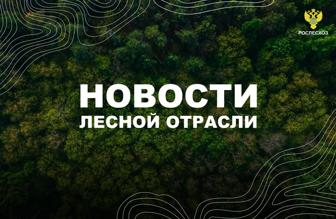 ТАСС: В России объем незаконной рубки леса в первом полугодии сократился на 22%    Интерфакс: Экспорт лесоматериалов из России в I полугодии вырос на 14% г/г    ТАСС: В СФО ситуация с лесными пожарами осенью останется стабильной    Байкал24: В Бурятии сотрудники Авиалесоохраны спасли бурундука при тушении пожара    Московский Комсомолец: Новгородские лесхозы выполнили план по восстановлению зеленой зоны на 90 %