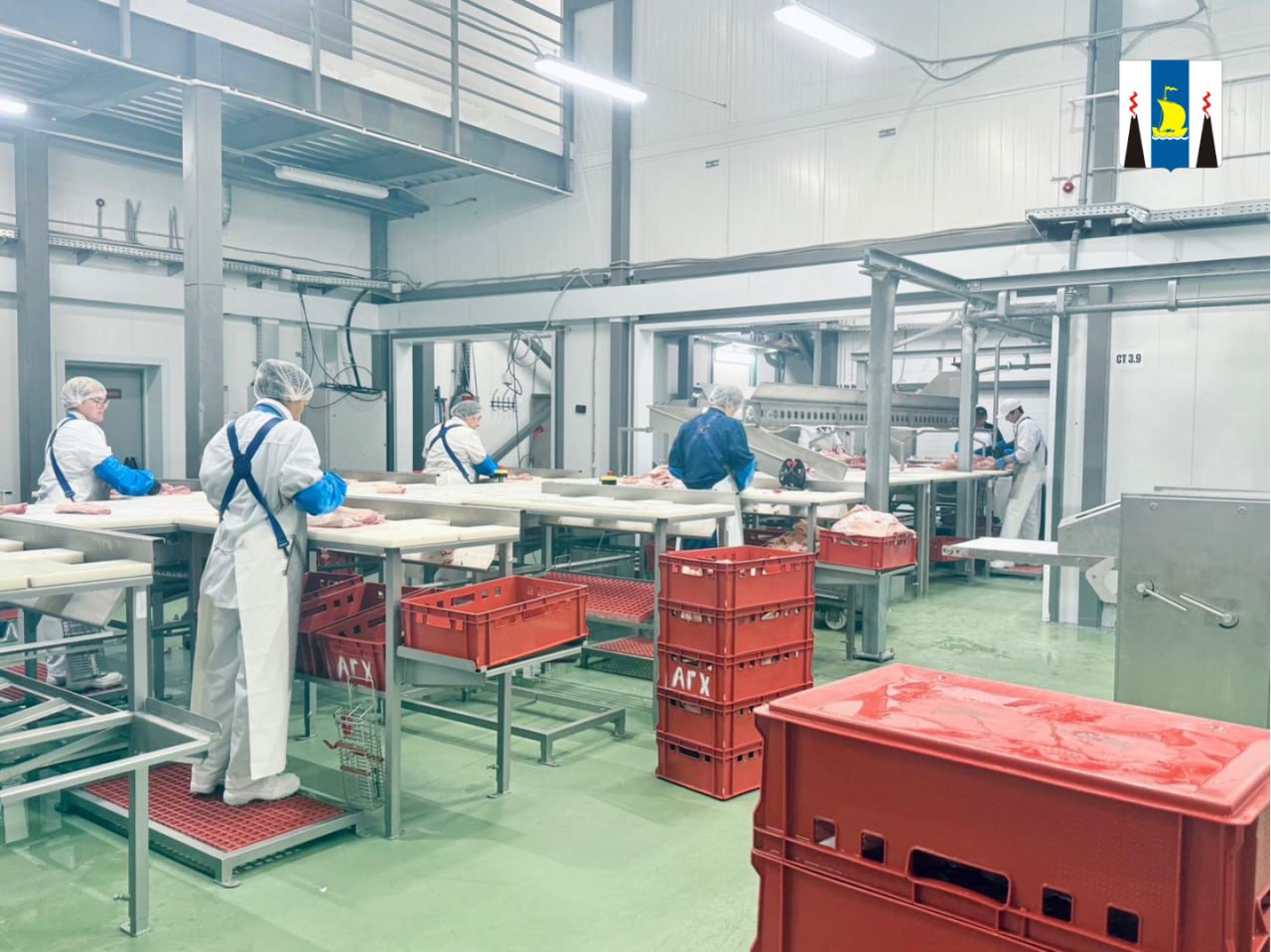 Пищевые предприятия Сахалинской области нарастили объемы выпуска мясной продукции За период с января по сентябрь предприятия региона произвели почти 1 100 тонн полуфабрикатов что на 15 5 превышает показатели аналогичного периода прошлого года Объемы выпуска колбасных изделий составили с начала года 678 тонн прирост составил 3 7 Вся мясная продукция реализуется на территории Сахалинской области Благодаря совместной работе местных компаний оперативно реагирующих на запросы потребителей и системной поддержке отрасли со стороны региональных властей островитяне могут приобретать все больше качественных колбасных изделий деликатесов и полуфабрикатов местного производства В течение нескольких лет в островном агропромышленном комплексе успешно реализован ряд масштабных инвестиционных проектов В итоге показатель самообеспеченности региона мясом вырос более чем в три раза Значительно расширился и ассортимент мясной продукции Во многом это результат поддержки отрасли со стороны правительства региона Благодаря ей наши предприятия устойчиво функционируют создают новые мощности и рабочие места обеспечивают жителей островов свежими и качественными продуктами питания сказал председатель правительства Сахалинской области Алексей Белик В 2025 году на территории агропромышленного парка в северной части Южно Сахалинска начата работа двух современных мясоперерабатывающих предприятий   Агрохолдинг Сахалинский предлагает широкий ассортимент полуфабрикатов и деликатесов из свинины мелко и крупнокусковые полуфабрикаты порционные изделия продукцию в панировке и маринаде натуральные котлеты шницель гуляш шашлык и многое другое   СМПЗ Мясной теленок выпускает более 120 наименований продукции вареные полукопченые варено копченые и варено запеченные колбасные изделия и мясные деликатесы В ближайшее время предприятие расширит линейку в том числе за счет сыровяленых и сырокопченых колбас Подписывайтесь на нас в MAX sakhgov