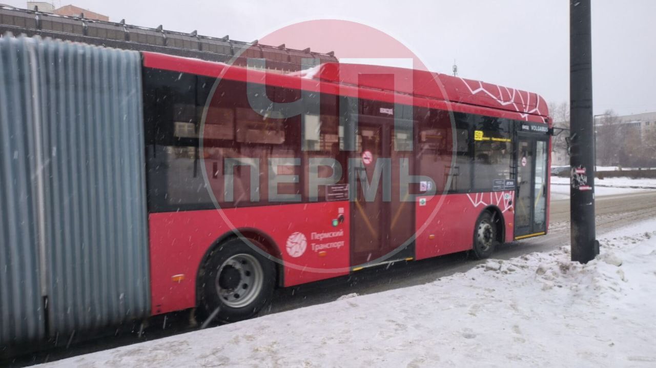 В Пермь вернулись автобусы-гармошки  Сегодня на 50-й маршрут вышли первые автобусы особо большого класса. Всего на маршруте будут курсировать 16 «гармошек». С июня еще 19 таких автобусов начнут работать на маршрутах № 27, 15 и 53.   ЧП Пермь    Прислать новость