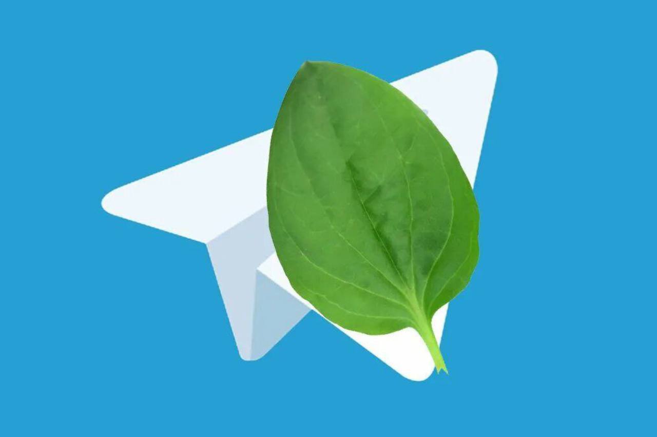 В Telegram наблюдается масштабный сбой Пользователи сообщают что в приложении не загружаются фото и видео а также не отправляются сообщения А у вас работает Подписаться на нас в MAX