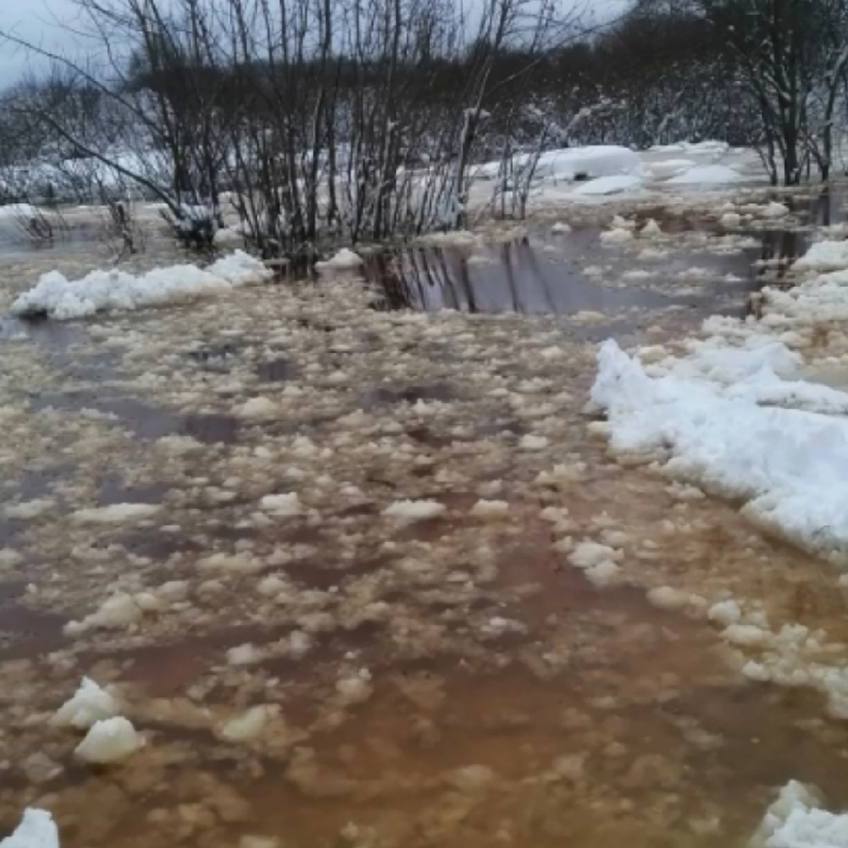 Река Луга затопила СНТ «Возрождение» в Ленинградской области — вода вышла из берегов.   Пострадавшим предоставили пункт временного размещения.