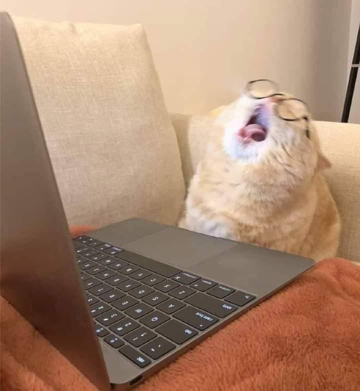 Основатели Twitter и Pinterest запустили Tangle альтернативу привычному думскроллингу В отличие от классических соцсетей Tangle фокусируется на осознанности и личном прогрессе там пользователи ставят цели рефлексируют и получают поддержку единомышленников вместо бесконечного потока развлекательного контента Звучит как то что всем нам просто необходимо