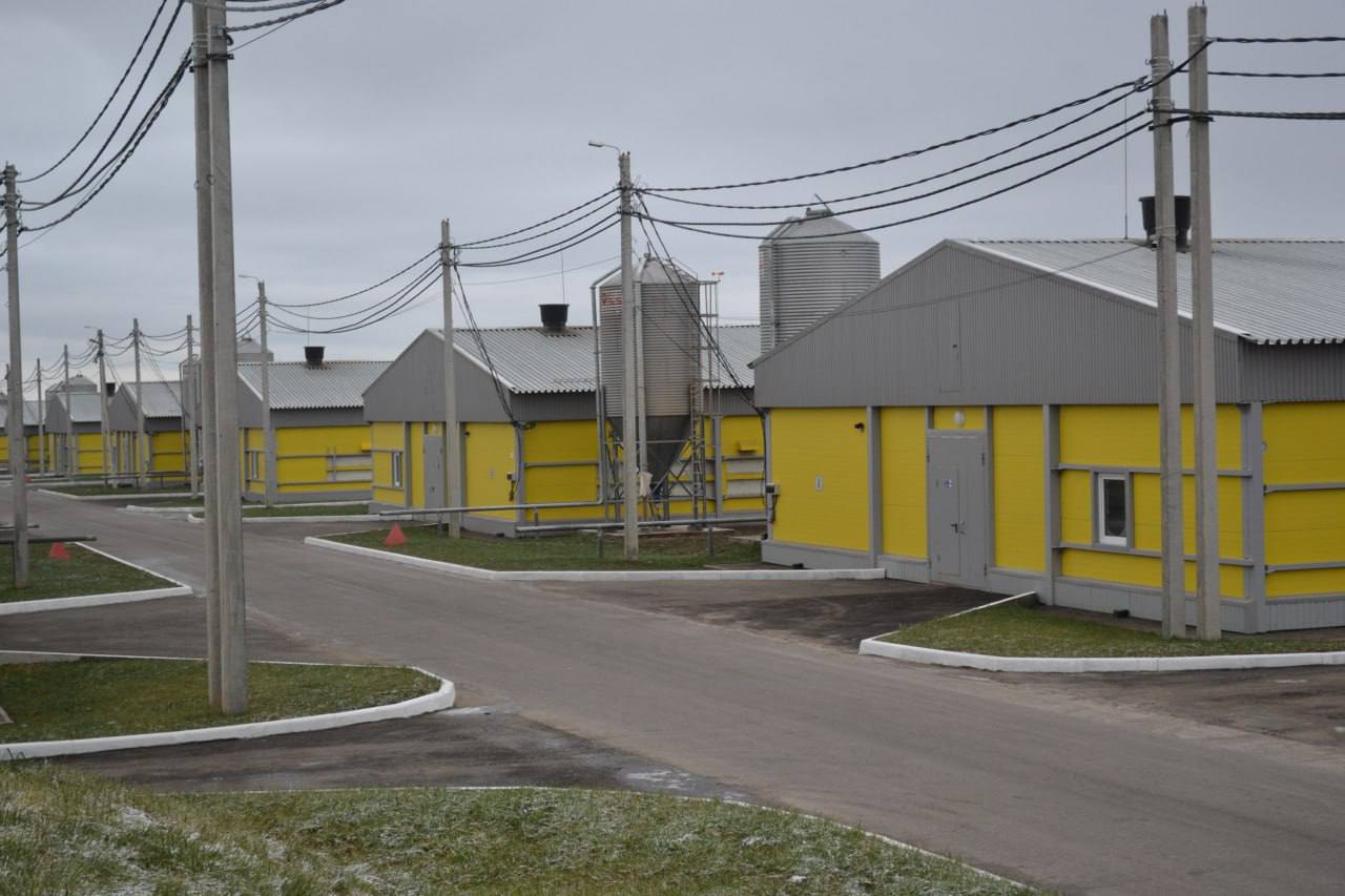 Глеб Никитин сообщил об открытии у села Верхополье Вачского округа 18 новых птичников Современная площадка позволит производить около 17 тысяч тонн мяса птицы в год Инвестиции в проект 2 3 млрд рублей Проект получил федеральный кредит по льготной ставке получил поддержку от регионального правительства Инвестор намерен реализовать еще два аналогичных проекта в Нижегородской области что закроет потребности региона по мясу птицы