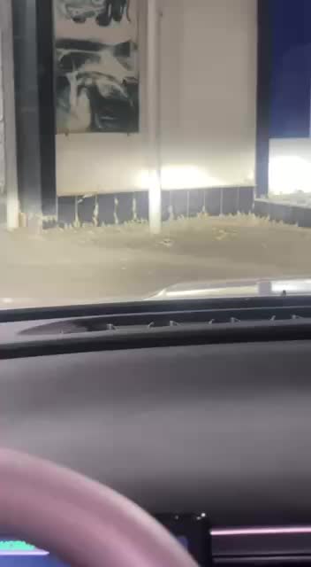 Нашествие саранчи в Западном Казахстане: более 120 тысяч гектаров под угрозой