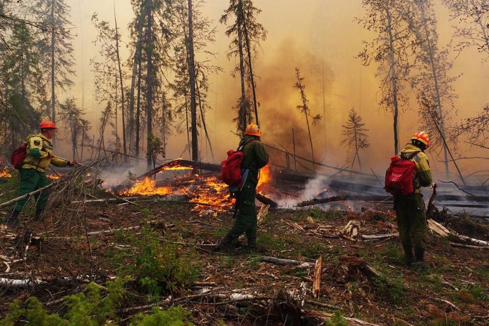 Лесные пожары могут увеличиться на 30% к 2030 году  С каждым годом наша планета теряет миллионы гектаров леса. По данным ООН, только за 2023 год исчезло около 10 миллионов гектаров лесов — это площадь почти равная территории Португалии.   Основные причины — вырубка ради сельского хозяйства и индустриализации, а также разрушительные лесные пожары, масштабы которых продолжают расти.  В 2024 году зарегистрировано более 3 миллионов крупных пожаров по всему миру, что на 15% больше, чем в предыдущем году. Сильнее всего пострадали Канада, Австралия, Бразилия и страны Южной Европы.  Учёные предупреждают: изменение климата способствует увеличению засух, что делает леса более уязвимыми и к 2030 году количество лесных пожаров, может увеличиться на 30%.