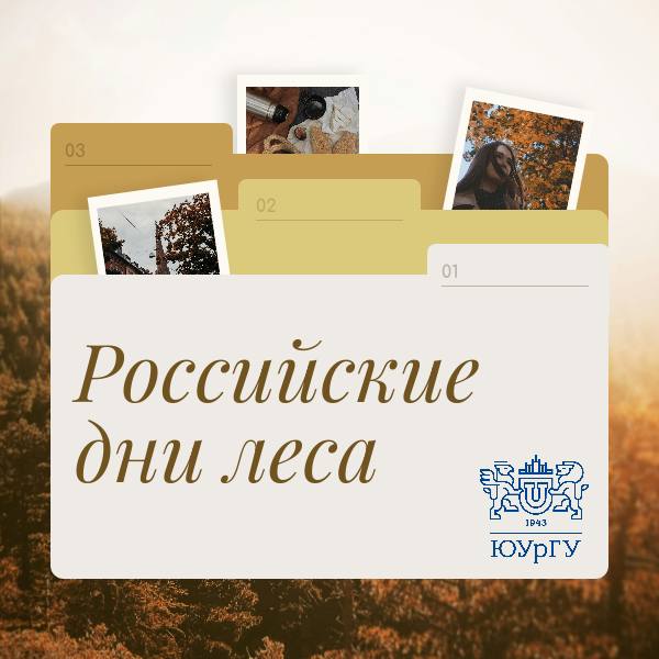С 15 по 17 сентября отмечается крупный экологический праздник Российские дни леса Отправляйте свои атмосферные фотографии из лесов парков в комментарии