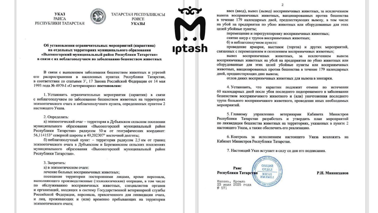 Карантин ввели в Высокогорском районе — там бешеная собака укусила 8-летнего мальчика. Это произошло в Дубъязском сельском поселении, хвостатую приютили охранники местного завода. После случившегося её усыпили, ребёнок в порядке. Место очага захватывает в том числе Берёзкинское сельское поселение. Посторонних не пускают, проводить мероприятия нельзя, ввозить и вывозить восприимчивых животных, снимать шкуры с их трупов тоже. Всё закончится через 60 дней. Ещё карантин действует в Альметьевском районе, Буинском, Новошешминском и Камско-Устьинском.