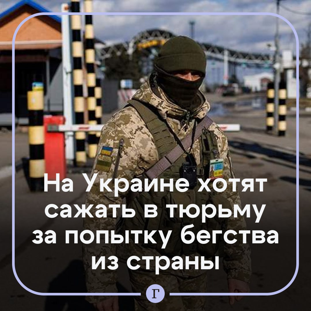 На Украине хотят сажать в тюрьму на срок до 3 лет за попытку бегства из страны Еще три года добавятся к заключению за порчу пограничной инфраструктуры при попытке бегства Инициатором законопроекта стала премьер министр Свириденко Сейчас за незаконное пересечение границы на Украине можно получить только штраф до 206 или арест до 15 суток Читайте Газету Ru в MAX Участвуйте в розыгрыше