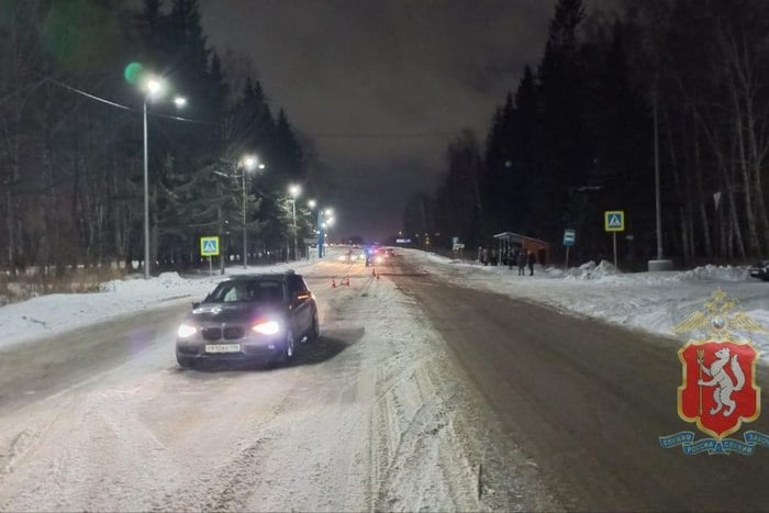 Свердловчанин на BMW сбил сразу двух женщин на пешеходном переходе  Сегодня утром, 9 января, в свердловском посёлке Балтым на улице Первомайская напротив дома №82 водитель BMW сбил на пешеходном переходе двух женщин: 60-ти и 36-ти лет.  По предварительным данным Госавтоинспекции по Свердловской области, обе пострадавшие получили травмы. Сейчас их осматривают медики.  Со слов водителя, он не заметил пешеходов. На месте происшествия работают сотрудники ДПС, которые выясняют все обстоятельства случившегося. Проводится проверка по этому факту.