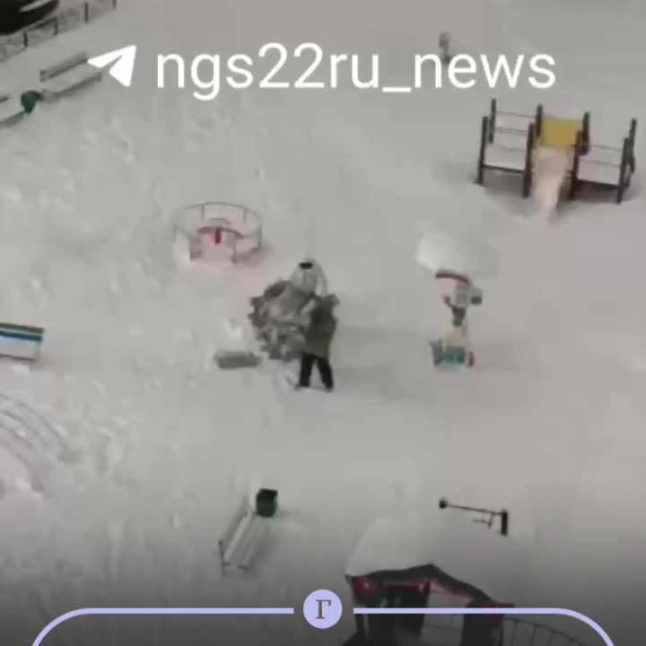 В Волгограде и Новой Москве украли новогодние елки и устроили погромы