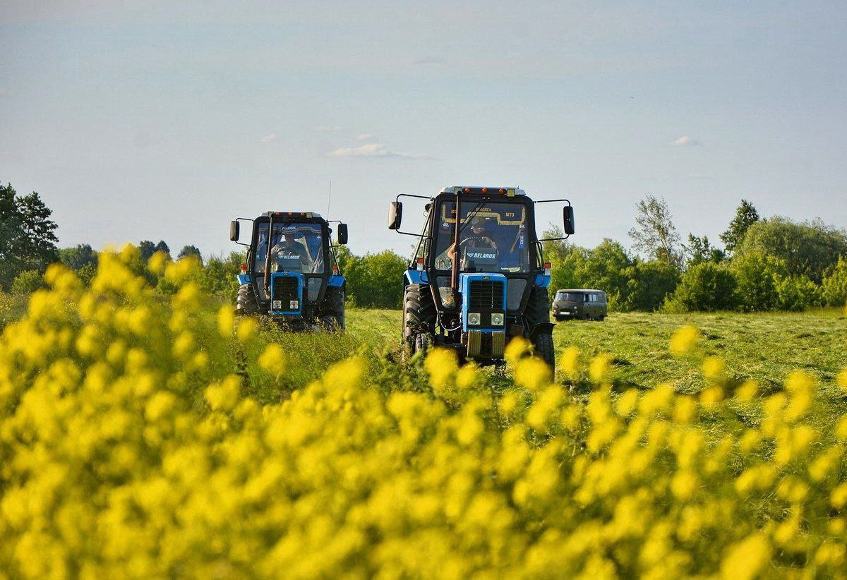 Рязанские аграрии получили более 1 млрд рублей господдержки Сельское хозяйство — одна из ключевых отраслей экономики региона. В этом году аграрии получили субсидии по девяти направлениям: производство зерна, картофеля, овощей открытого и защищенного грунта, производство и переработка молока, племенное животноводство, страхование урожая и проекты мелиорации. Всего в этом году рязанские аграрии получат поддержку по 40 направлениям на 2,3 млрд рублей. Минсельхоз России с начала года одобрил рязанским сельхозпредприятиям льготные кредиты на 7,3 млрд рублей. Большая часть средств идёт на проведение сезонных полевых работ, на покупку топлива, семян и минеральных удобрений. Также более одного млрд рублей предусмотрели на строительство социальных объектов и инженерной инфраструктуры по программе «Комплексное развитие сельских территорий».