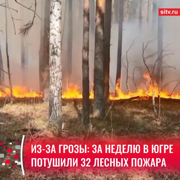 32 лесных пожара на минувшей неделе, по данным окружного департамента недропользования и природных ресурсов, возникли из-за грозового фронта, который прошел над территорией региона. Специалистам удалось их оперативно потушить. Тем не менее огонь успел уничтожить более 1800 гектаров леса. Всего с начала пожароопасного сезона в регионе было ликвидировано 65 лесных и 7 ландшафтных пожаров. Подписаться Прислать новость