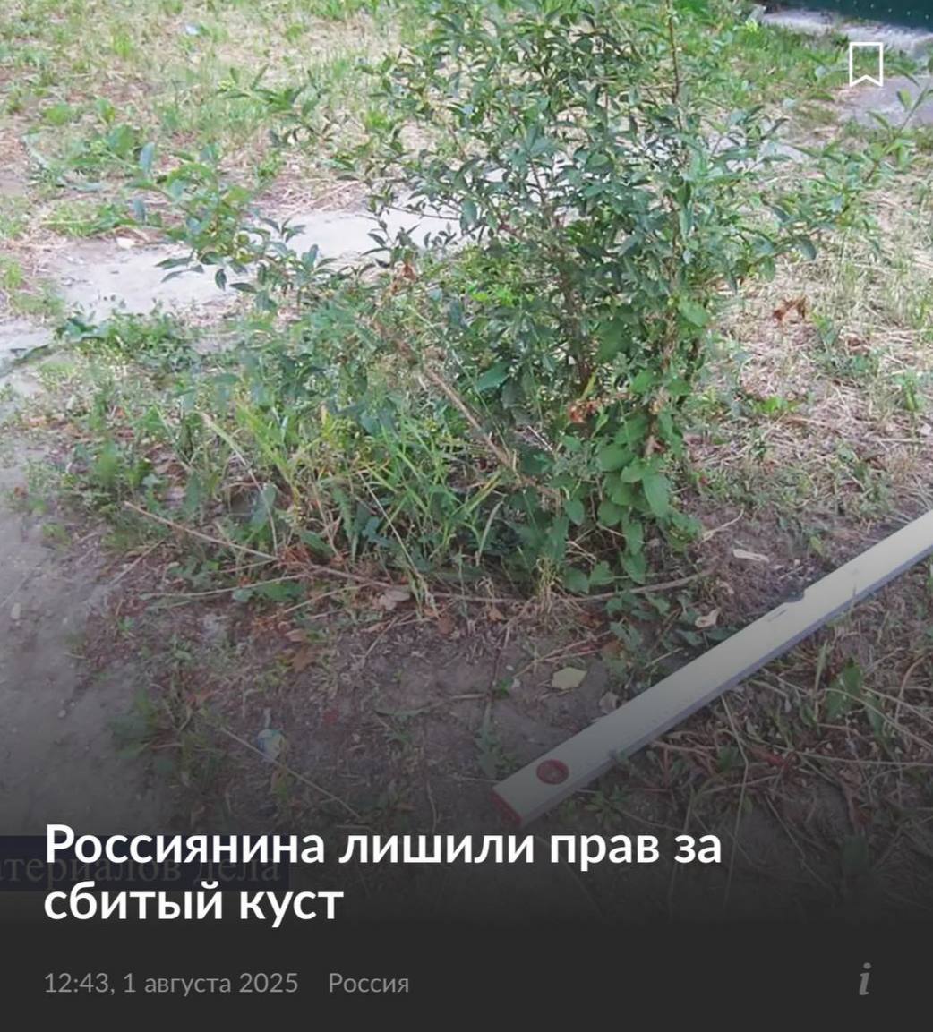 Куст лишил жителя Курска прав  Ночью водитель наехал на посаженное растение. Раздосадованный хозяин участка пошел в суд с записью камер. Судья признал это сокрытием с места ДТП и лишил бедолагу прав на 12 месяцев.  Любую зелень теперь объезжаем за километр.