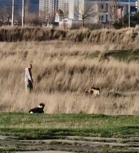 Школьница из Новороссийска победила во Всероссийском конкурсе с проектом об осликах на Малой Земле Путь в науку у новороссийских школьников начинается в младших классах 15 новороссийских школьников завоевали награды на Всероссийском конкурсе научно исследовательских работ имени Д И Менделеева в Москве В этом году конкурс объединил участников из 60 регионов России а также гостей из Республики Беларусь и Республики Казахстан Всего на конкурс было подано более 2 500 работ в финал прошли 1 453 участника В итоге наши ребята завоевали 9 первых мест 3 вторых и 3 третьих Работы принимались по 15 направлениям в которых школьники смогли реализовать свой потенциал Победителями из Новороссийска стали Дмитрий Ларионов СОШ 34 Злата Рукина СОШ 40 Артем Сысаков СОШ 40 Матвей Войнолович СОШ 40 Дарья Мурзинцева СОШ 40 Александр Старовойтов СОШ 24 Марк Данцевич МТЛ Маргарита Айрапетова Гимназия 6 И самая юная из новороссийцев третьеклассница Екатерина Иованович Гимназия 6 которая стала победителем конкурса с историческим проектом об участии осликов на Малой Земле во время Великой Отечественной войны Наши ребята представили научные проекты на самые разные темы и я не могу выделить какой либо один Все провели большую работу все заслуженно получили награды Финалисты конкурса познакомились с историей Москвы посетили ее исторический центр Красную площадь и Александровский сад познакомились с другими достопримечательностями столицы посмотрели спектакль Доходное место Московского театра сатиры Несмотря на мороз ребята получили массу положительные впечатлений отметил учитель биологии СОШ 40 Дмитрий Вехов который сопровождал команду Краснодарского края на конкурс При этом Дмитрий Вадимович скромно умолчал что получил награду от организаторов конкурса как представитель нашего Краснодарского края такой чести удостоились еще два педагога из Челябинской и Мурманской областей Поздравляем