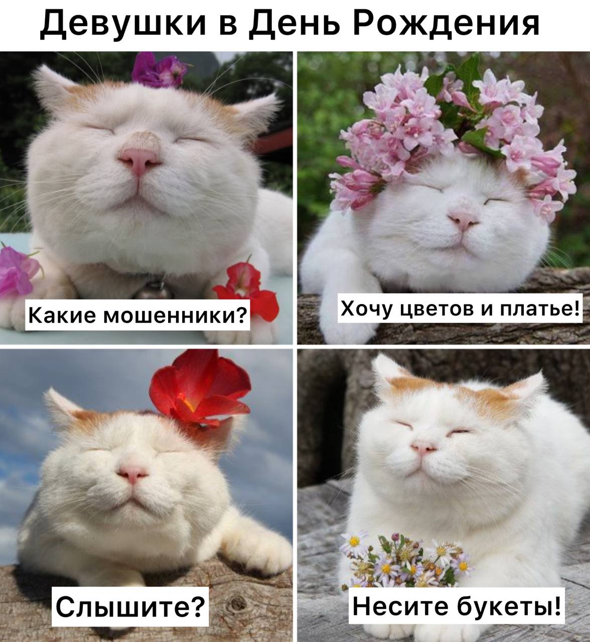 Мошенники придумали новую схему развода теперь они активно названивают девушкам именно в день рождения С утра звонят представляются службой доставки и говорят что для именинницы заказан подарок или цветы Кто именно отправил не уточняют мол это сюрприз Обрадованная жертва без подозрений называет свои паспортные данные и адрес Затем приходит СМС с кодом который нужно продиктовать для подтверждения доставки На этом этапе некоторые девушки начинают что то подозревать но некоторые все же сообщают код В итоге вместо подарков они получают неприятный сюрприз списание денег с карты Подписаться Прислать новость