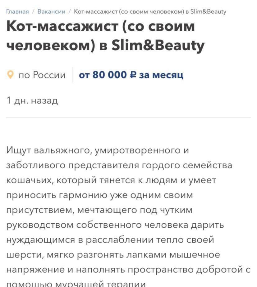 Кота-массажиста с зарплатой 80 тысяч рублей ищут в Москве. Хвостатый мастер должен привносить гармонию, выполнять лапочный массаж спины и повышать мурчанием уровень счастья. Пушистому работнику обещают полный соцпакет с больничными, прививками, отпусками, личную лежанку и бесконечный запас вкусняшек. МСК 360 Сотрудничество
