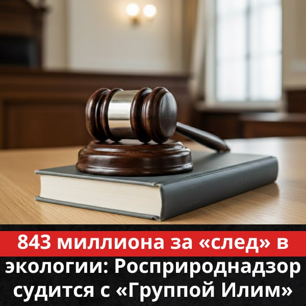 843 миллиона за след в экологии Росприроднадзор судится с Группой Илим Росприроднадзор подал крупный иск в Арбитражный суд Иркутской области к АО Группа Илим Ведомство требует взыскать с лесопромышленного гиганта почти миллиард рублей за негативное воздействие на окружающую среду Компанию обвиняют в несвоевременном или неполном внесении платы за выбросы в воздух сбросы в воду и размещение отходов производства Первое заседание суда назначено на 19 февраля  Общий долг составляет 843 млн рублей Из них 720 5 млн это основная задолженность по экологическим платежам а еще 122 6 млн набежало в виде пени за просрочку Группа Илим регулярно отчитывается о миллиардных инвестициях в экопроекты Братска и Усть Илимска и программах Чистого воздуха Однако нынешний иск на 843 миллиона заставляет взглянуть на эту социальную ответственность под другим углом Одно дело ставить новые фильтры под прицелом телекамер и совсем другое годами не платить по счетам за реальный ущерб природе   Подписаться