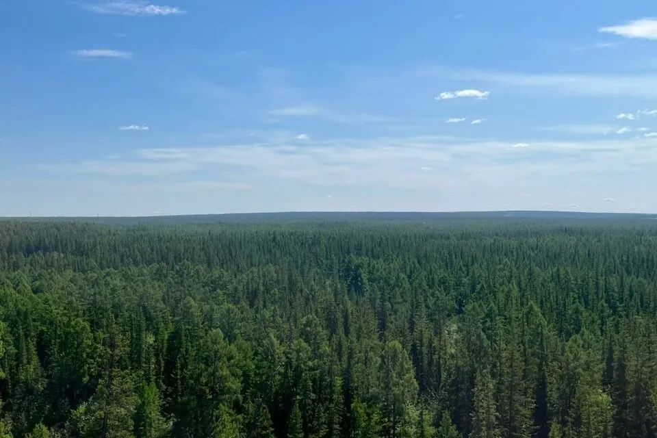 Пожароопасный сезон в Якутии планируют установить к середине мая Лесопожарный сезон в Якутии в этом году предварительно начнётся во второй третьей декаде мая Учитывая что на территории республики наблюдается снежный покров и исходя из природно климатических особенностей начало пожароопасного сезона планируем установить со второй и третьей декады мая с учетом погодных условий однако природа может внести свои корректировки прокомментировал ТАСС заместитель министра экологии природопользования и лесного хозяйства Якутии Андрей Коноплев Ключевая задача на предстоящий сезон свести к нулю количество пожаров возникших по вине людей Для этого усилят профилактические меры и контроль Для оперативного патрулирования и мониторинга лесных пожаров задействуют авиацию спутники БПЛА По прогнозам специалистов в мае природная горимость будет низкой В июне и июле риск пожаров возрастёт до среднего уровня А в августе почти вся территория республики попадёт в зону повышенной опасности