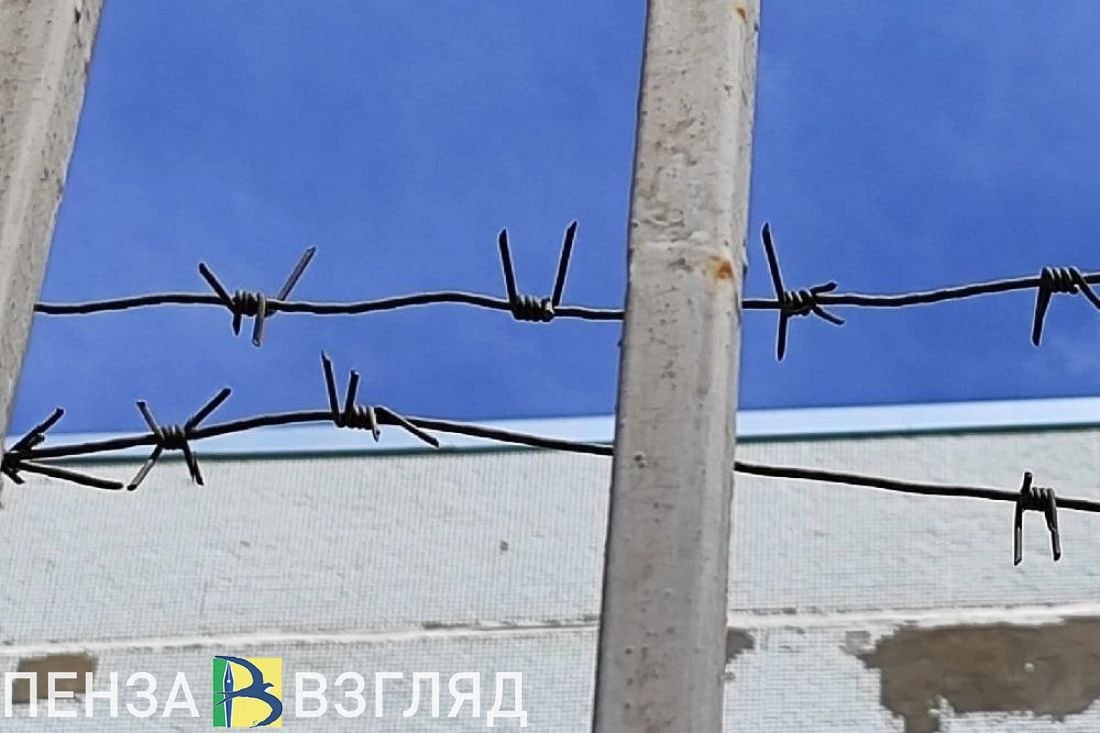 Житель Пензы отправлял порнографию и вел интимную переписку с детьми Пензенский областной суд вынес приговор 40 летнему местному жителю признанному виновным в совершении сексуальных действий в отношении малолетних и распространении среди них порнографии Суд установил что в течение двух лет мужчина вел переписку в мессенджере с двумя 8 летними девочками из другого региона выдавая себя за десятилетнего мальчика В своих сообщениях он пытался пробудить у детей интерес к сексуальным темам а одной из потерпевших отправил порнографические материалы Подсудимый полностью признал свою вину Он пояснил что из за проблем в общении со взрослыми женщинами искал подобные контакты с детьми в интернете сообщает пресс служба Пензенского областного суда Суд в качестве смягчающих обстоятельств учел чистосердечное признание состояние здоровья подсудимого в том числе наличие когнитивного расстройства а также болезни его родителей В итоге мужчине назначили наказание в виде 8 лет лишения свободы в колонии строгого режима Дополнительно его лишили права на 10 лет заниматься любой педагогической воспитательной или тренерской деятельностью с несовершеннолетними хотя он до этого и не работал с детьми В пользу каждой из двух потерпевших девочек взыскали по 100 тысяч рублей в качестве компенсации морального вреда Приговор пока не вступил в законную силу Подписаться на Пенза Взгляд в ТГ Подписаться на Пенза Взгляд в MAХ