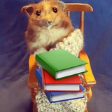 📚Уютный разбирает