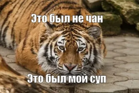 Турист отсудил у турбазы 250 тысяч после нападения тигра В Хабаровском крае суд взыскал с глэмпинга 250 000 рублей в пользу туриста на которого напал тигр Мужчина отдыхал на территории где обещали безопасное единение с природой хищник видимо решил исполнить это обещание лично Тигр напал на туриста когда он собирался попариться в банном чане установленном на улице Мужчина получил рваные раны и перелом бедра от смерти его спасли работники базы которые спугнули хищника Мужчина полтора года судился с администрацией глэмпинга Суд постановил что та не обеспечила защиту гостей хотя известно что территория находится в зоне обитания хищников В том числе компенсирован моральный вред семье пострадавшего которые отдыхали вместе с ним и стали свидетелями нападения тигра Подписаться на truekpru Читать нас в MAX