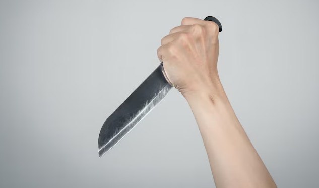 В Москве задержали зарезавшую своего сожителя женщину Столичный Следственный комитет России сообщил о задержании женщины по подозрению в убийстве своего сожителя на юго-востоке Москвы. Как уточняет ведомство, инцидент произошел 13 июля. Фигурантка нанесла не менее трех ударов ножом в туловище мужчины в результате конфликта. От полученных ран потерпевший скончался на месте. Правоохранители задержали фигурантку и назначили ряд судебных и психолого-психиатрических экспертиз. В…