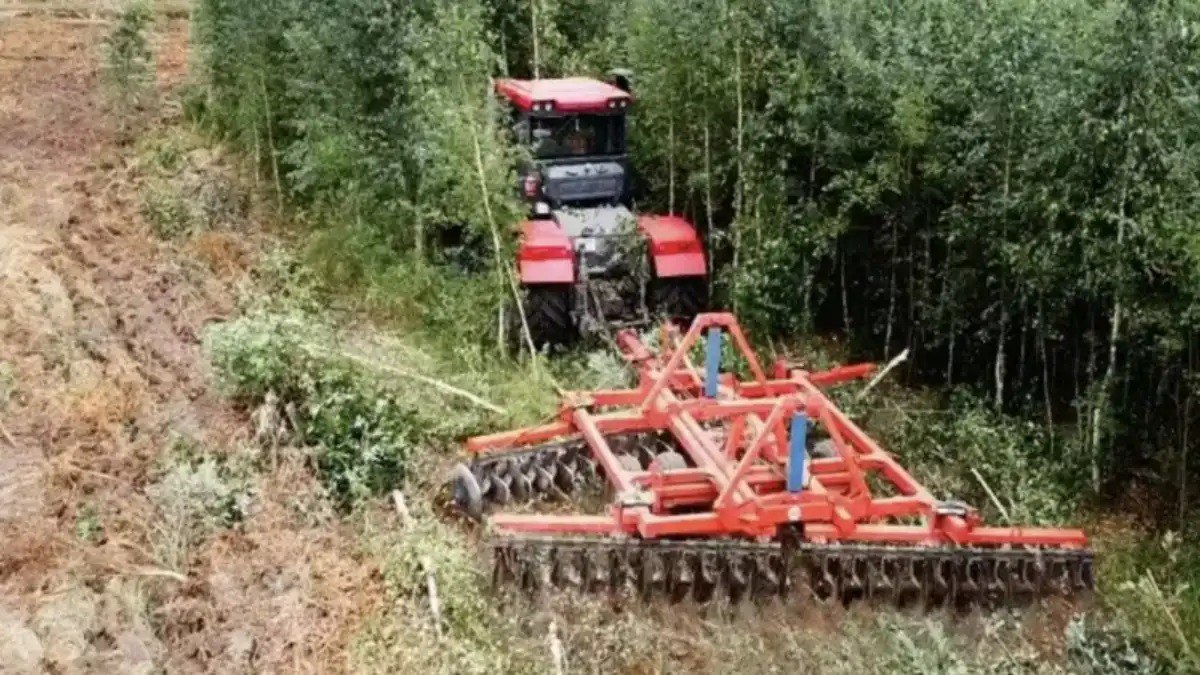 С начала года в Подмосковье ввели в сельхозоборот более 7 тысяч гектаров залежных земель   Аграрии которые занимаются вводом залежных земель в оборот могут получить субсидию на проведение культуртехнических мероприятий Она возмещает до 50 от понесенных затрат Подробнее читайте