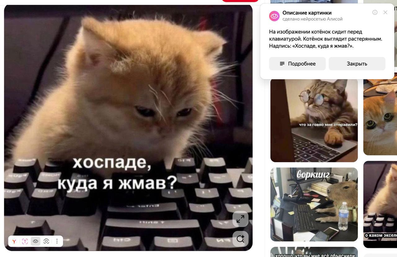 Незрячие люди УВИДЯТ картинки нейросеть Алиса в Яндекс Браузере научилась их описывать Раньше специальные программы озвучивающие содержимое сайтов зачитывали только текст и пропускали картинки Теперь при наведении на изображение нейросеть автоматически сгенерирует описание от мемов в соцсетях до цвета и кроя одежды в магазинах Со смешных картинок с котиками смогут посмеяться все   trends