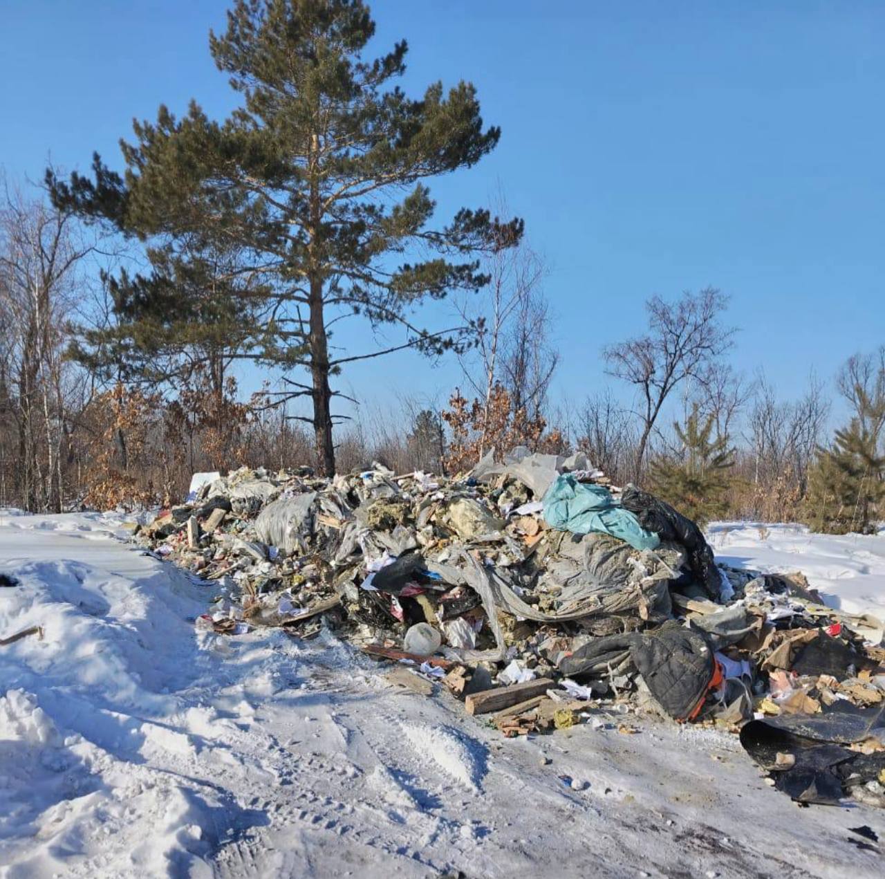 Выгрузивших на городском кладбище мусор нашли и обезвредили   В пабликах вчера появилась информация о том, что некто выгрузил строительный мусор на территории городского кладбища. Сотрудники МБУ «СОАЗиС» начали выяснять, кто же мог устроить не санкционированную свалку. Благо расследование получилось короткое - в складированном «добре» нашлись документы и прочие улики, указывающие на одну из компаний.   Нарушители вину признали и оперативно убрали за собой. Но чтобы было не повадно, виновников привлекут к административной ответственности.    Для тех, кто выбрасывает мусор в неположенных местах, в законодательстве РФ по ст. 8.2 КоАП РФ предусмотрены штрафы. Для юридических лиц, причастных к образованию свалки, санкции начинаются от 100 тысяч рублей до 250 тысяч рублей. Для должностных лиц установлено взыскание от 10 до 30 тысяч рублей. Предприниматели без образования юридического лица могут получить штраф от 30 до 50 тысяч рублей или административное приостановление деятельности на срок до девяноста суток. Для физических лиц  размер санкций составляет от 1 до 2 тысяч рублей.