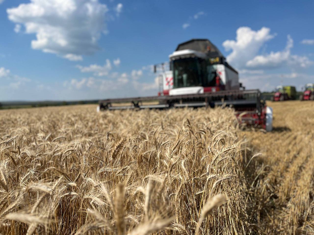 Пул 56 Оренбургские аграрии обновили парк техники на сумму более 8 2 млрд рублей Предприятия АПК обновляют парк техники в рамках реализации госпрограммы Развитие сельского хозяйства и регулирование рынков сельскохозяйственной продукции сырья и продовольствия Оренбургской области Сельхозтоваропроизводителями региона на 15 ноября приобретено 325 тракторов что составляет 101 6 от планового задания на год 180 зерноуборочных комбайнов при плане 170 ед 106 18 кормоуборочных комбайнов и самоходных косилок 100 Также было приобретено 535 единиц прочей сельскохозяйственной техники и оборудования Общая стоимость приобретенной техники и оборудования составила 8 202 млрд руб Наилучшие показатели по приобретению техники у Акбулакского Александровского Асекеевского подробнее на канале Пул 56