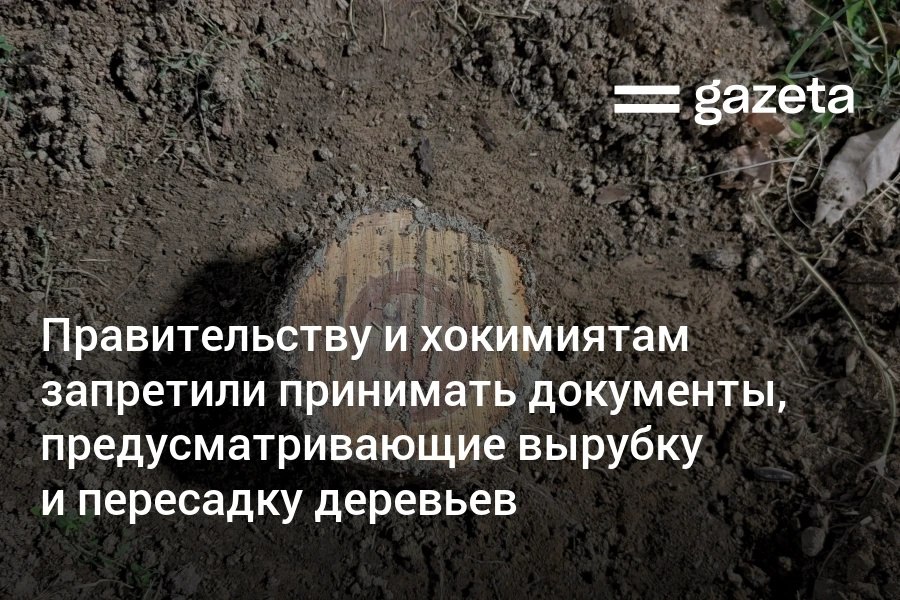 Постановлением президента запрещена выдача документов которые освобождают от исполнения экологических норм Запрещено также принятие постановлений и других документов правительства а также хокимиятов которые предусматривают вырубку и пересадку деревьев и кустарников   www gazeta uz ru 2025 11 19 documents Telegram Instagram YouTube
