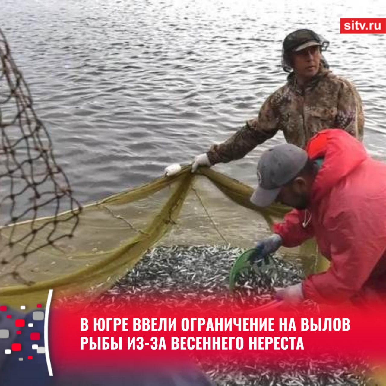 Ограничение на вылов рыбы ввели в реках Обь и Иртыш с их притоками до 31 мая, а в реке Конда и в Кондинском соре — до 30 июня. Причина тому — весенний нерест, сообщает пресс-служба Нижнеобского территориального управления Росрыболовства. Специалисты отмечают, что в данный период рейдовые группы будут работать круглосуточно. Запрещается рыбалка сетями, на лодках, за исключением любительского рыболовства с берега на удочки с крючками. Норма вылова – суммарно — для язя, щуки, налима, судака составляет не более 10 кг; окуня, плотвы, ельца, карася — 30 кг. А общая суточная норма — не более 30 кг. Нарушителей ждут штрафы: от 2 до 5 тысяч рублей, а также придется возместить ущерб государству. При этом у рыбаков могут изъять орудия лова, транспорт и плавательные средства с последующей конфискацией. Подписаться Прислать новость