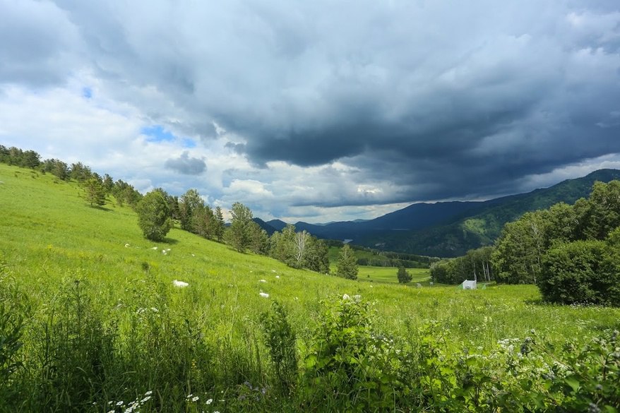 Для гостей из Китая придумали специальные маршруты по Алтаю Например семидневный тур Алтай терапия счастье через край включает посещение около 20 объектов от ОЭЗ Бирюзовая Катунь до этно центра Кержацкие палати Маршрут Великий Алтай в поисках Дао созданный совместно с Республикой Алтай сочетает отдых в Белокурихе с знакомством с русскими традициями Недельный тур Зеленый маршрут Байкал Алтай объединит локации Иркутской области и Алтайского края включая игорную зону Сибирская монета и дендропарк Алтайское Холмогорье