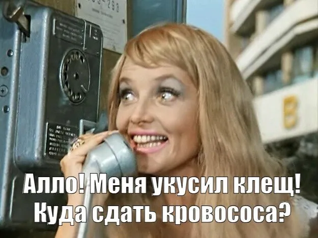 В Калининградской области с 27 апреля по 10 мая работает горячая линия по вопросам инфекций передающихся клещами Телефоны в Калининграде 8 4012 53 84 36 57 03 32 53 63 85 По ним специалисты ответят на актуальные вопросы Например расскажут что делать и куда обращаться если клещ укусил где сделать прививку где найти лабораторию для сдачи кровососа В городах области линии тоже будут работать в Немане 8 40162 2 35 58 в Зеленоградске 8 40150 3 29 59 3 16 74 в Гусеве 8 40143 3 27 66 3 48 31 3 35 23 в Черняховске 8 40141 3 47 77 3 46 55 в Багратионовске 8 40156 3 20 03 3 33 28 в г Советске 8 40161 3 56 43 в Гурьевске 8 4015 3 10 66 3 10 67 Работает федеральный Единый консультационный центр Роспотребнадзора 8 800 555 49 43 звонок бесплатный