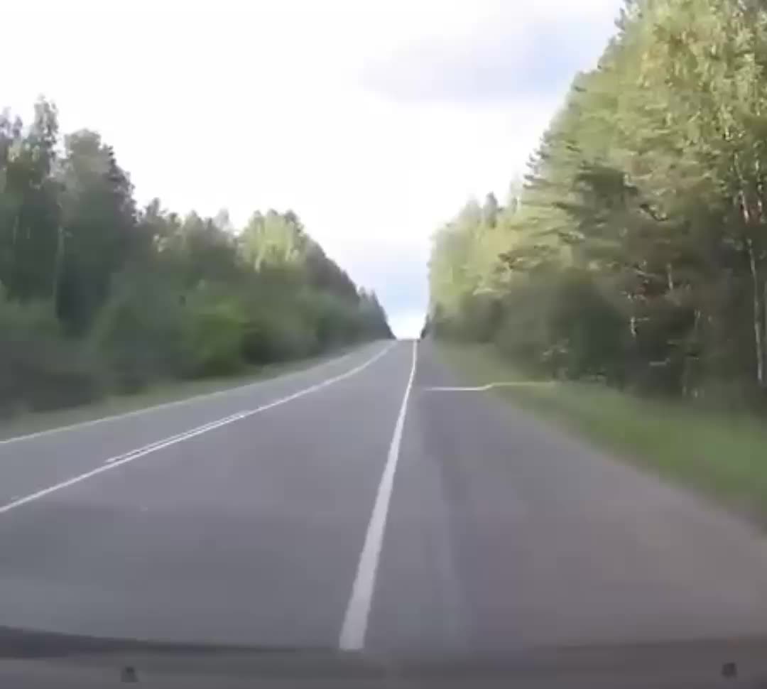 Водитель лесовоза из Нижнего Тагила повторил сцену из фильма, устроив аварию с бревнами