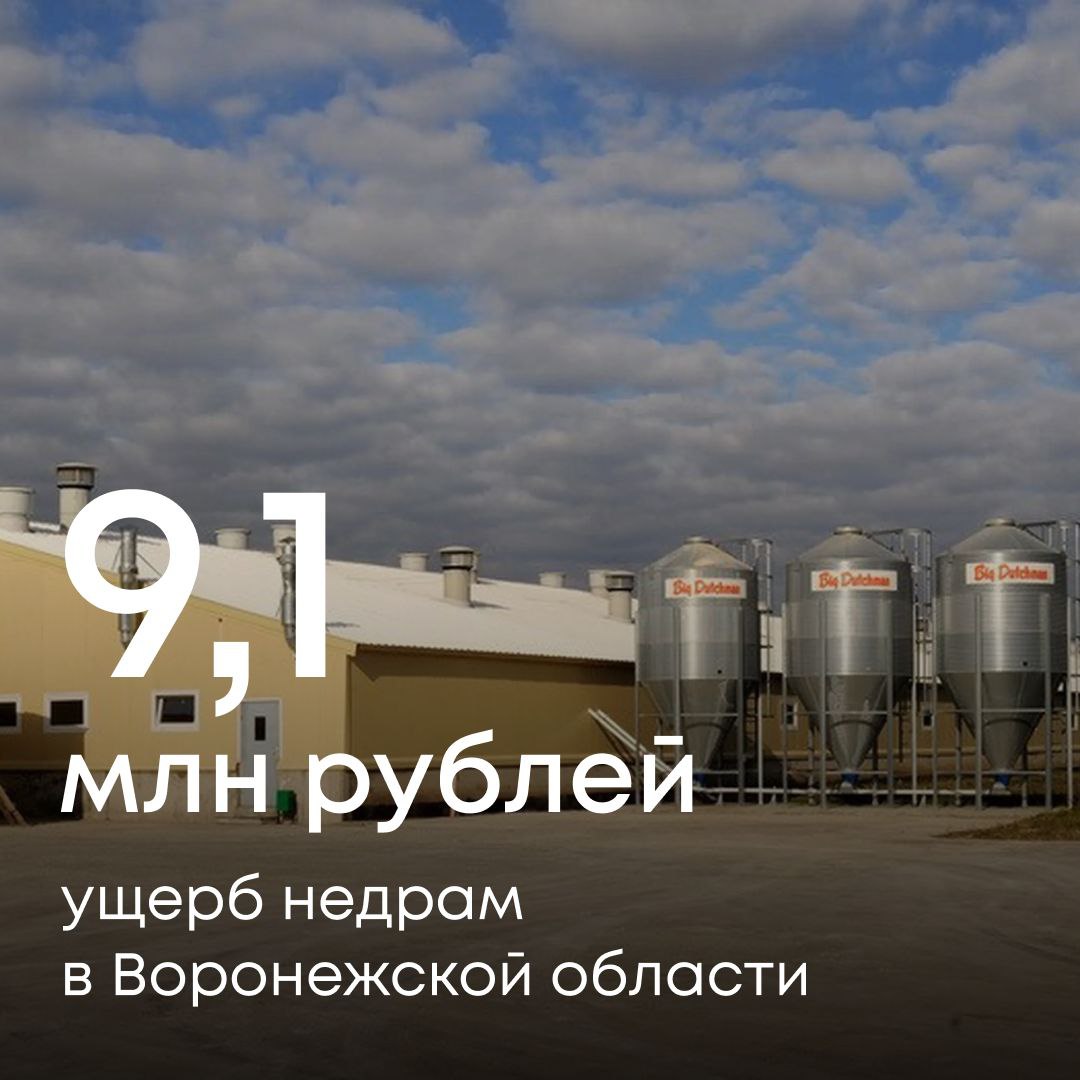 Росприроднадзор добивается от ООО «Черкизово-Свиноводство» возмещения более 9,1 млн рублей за причиненный недрам вред в результате незаконного пользования подземными водами на Кучугуровском месторождении Воронежская область . Специалисты Службы установили, что в 2023 году предприятие добывало воду без лицензии, чем нанесло ущерб недрам на 2 млн рублей. А с 2021 по 2022 год использовало подземные воды по лицензии, которая давала право только на геологическое изучение — не на добычу. Этот вред оценен еще в 7 млн рублей. Компании направлена претензия о добровольном возмещении вреда. Если средства не поступят в срок, обратимся в суд. Будем добиваться компенсации нанесенного природе ущерба.