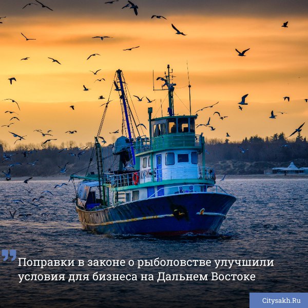 Важные поправки в законодательстве о рыболовстве, направленные на улучшение условий для рыбопромышленных компаний на Дальнем Востоке, в том числе и сахалинских рыбаков, приняты Госдумой РФ.