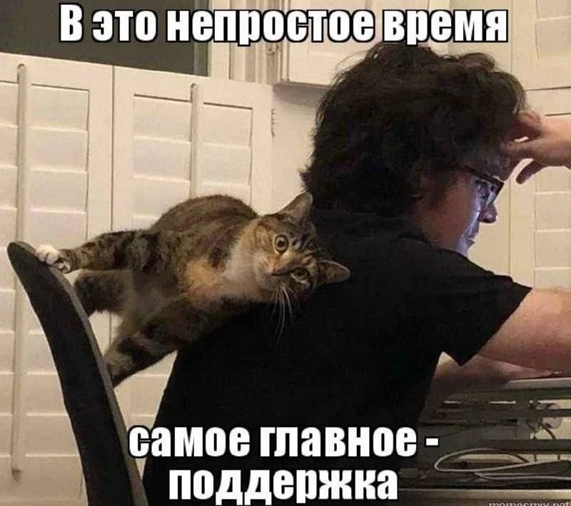 Поддержка для поддержки Т Банк выкатил копайлотов для операторов первой линии ИИ инструмент снижает нагрузку на операторов первой линии и оставляет больше времени на реальную помощь клиентам Копайлот сам собирает детали запроса суммирует данные и подсказывает правильные шаги Например если клиент захочет оспорить операцию копайлот сам выдаст правильную причину сумму и дату транзакции просто прочитав диалог Операторы мы вам сейчас завидуем