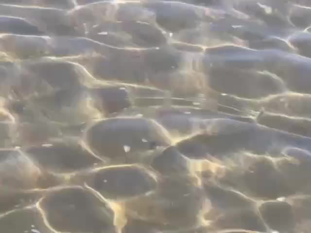 Ожидаемое похолодание воды в Черном море на Кубани перед бархатным сезоном
