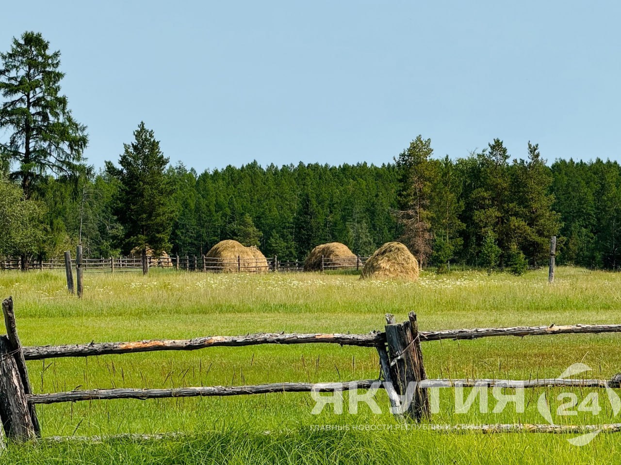 Россия и Китай создадут зону сотрудничества на Дальнем Востоке Москва и Пекин согласовали создание экспериментально демонстрационной зоны российско китайского сотрудничества в сфере сельского хозяйства на Дальнем Востоке Этот пункт был включен в совместное коммюнике по итогам 30 й регулярной встречи глав правительств двух стран Подробнее читайте по ссылке Фото Мария Архипова Якутия 24 yk24 ru в MAX Telegram ВК VK Видео
