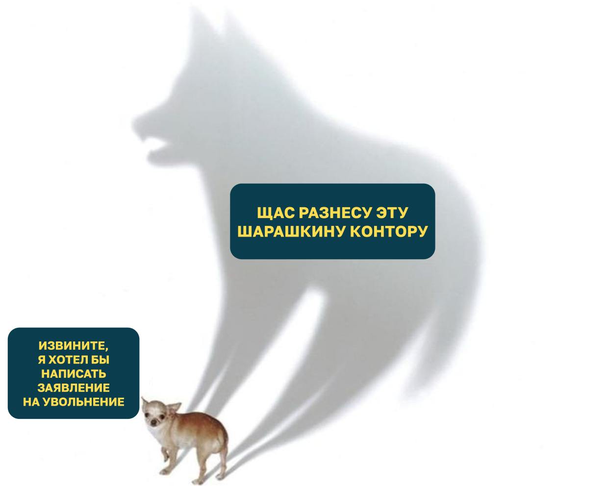 Каждая третья компания в Ставрополе сталкивалась со случаями «тихого увольнения»  33% компаний сталкивались со случаями «тихого увольнения», когда сотрудники ограничивались выполнением своих прямых обязанностей, предусмотренных трудовым договором, и не проявляли дополнительной активности  в том числе уклонялись от присутствия на совещаниях, отказывались от сверхурочных и проч. . В каждой второй  50%  организации подобных ситуаций отмечено не было.  По мнению опрошенных жителей краевой столицы, основными причинами такого поведения являются:   усталость и выгорание  52%    отсутствие перспектив и понятной картины карьерного роста  48%    желание сотрудника привлечь внимание руководства и добиться повышения зарплаты или премии  22%    уверенность, что новую работу легко найти  11%    вина начальства и несовершенство бизнес-процессов  8%    работа по совместительству  6%    семейные обстоятельства, отсутствие доплат или премий, недоверие к руководству  4%   Опрос провёл SuperJob.  В курсе   Новости Ставрополья   предложить новость