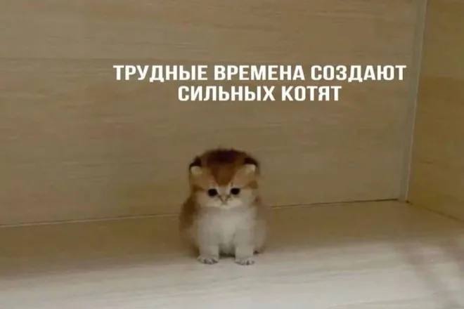 В Госдуме посоветовали россиянам готовиться к сложным временам В комитете Госдумы по экономполитике считают что в текущем году возможна рецессия так как 2025 год оставил после себя тяжёлые последствия В ведомстве отметили что экономическая обстановка выглядит тревожно Официальная инфляция приближается к 6 Реального роста экономики практически нет Предварительные данные показывают рост всего на полпроцента что по мнению депутатов выглядит неубедительно и натянуто UFA RB Подписаться Прислать новость Подпишитесь на нас в МАХ