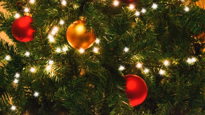 Всё больше россиян арендуют ёлки к Новому году Перед праздниками россияне стали заметно чаще арендовать живые и искусственные ёлки а также новогодний декор пишут Известия со ссылкой на данные Авито Услуги Спрос на главное украшения праздника вырос почти в 5 раз а количество предложений в 2 раза Аренда позволяет сэкономить время и деньги не нужно покупать утилизировать или хранить ёлку и украшения этим занимается арендодатель Астрахань 24 в МАХ