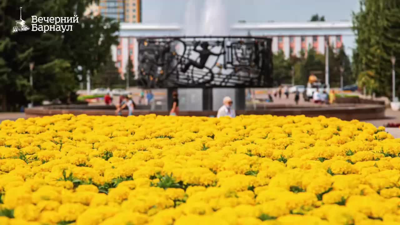 Благоустройство: новые цветочные клумбы в Бобруйске и Барнауле