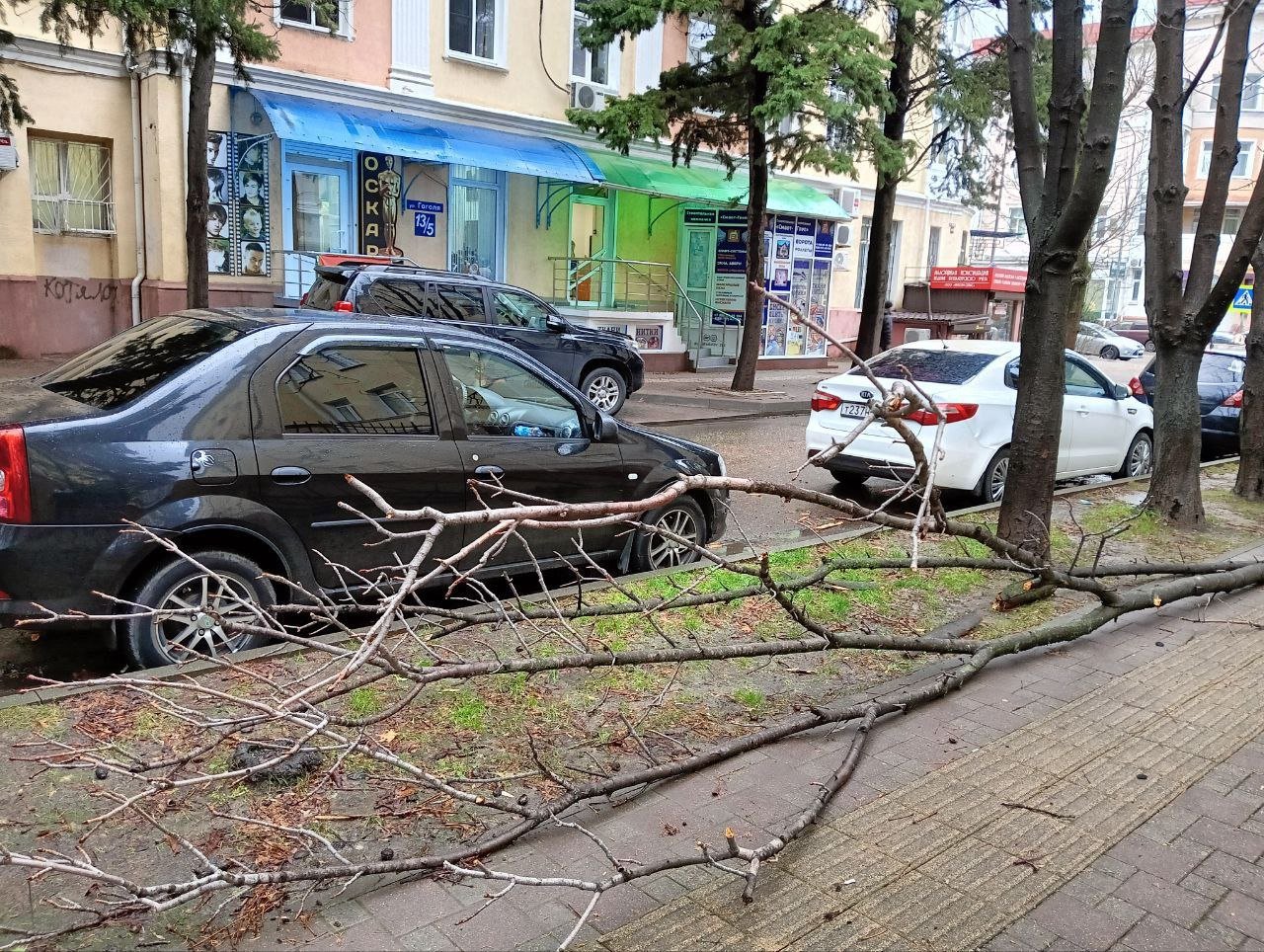 В ЖКХ Туапсе сообщили, что существенных разрушений после ночного ветра в городе нет. В основном обломаны сухие ветки. Их с раннего утра собирают и будут вывозить коммунальщики.