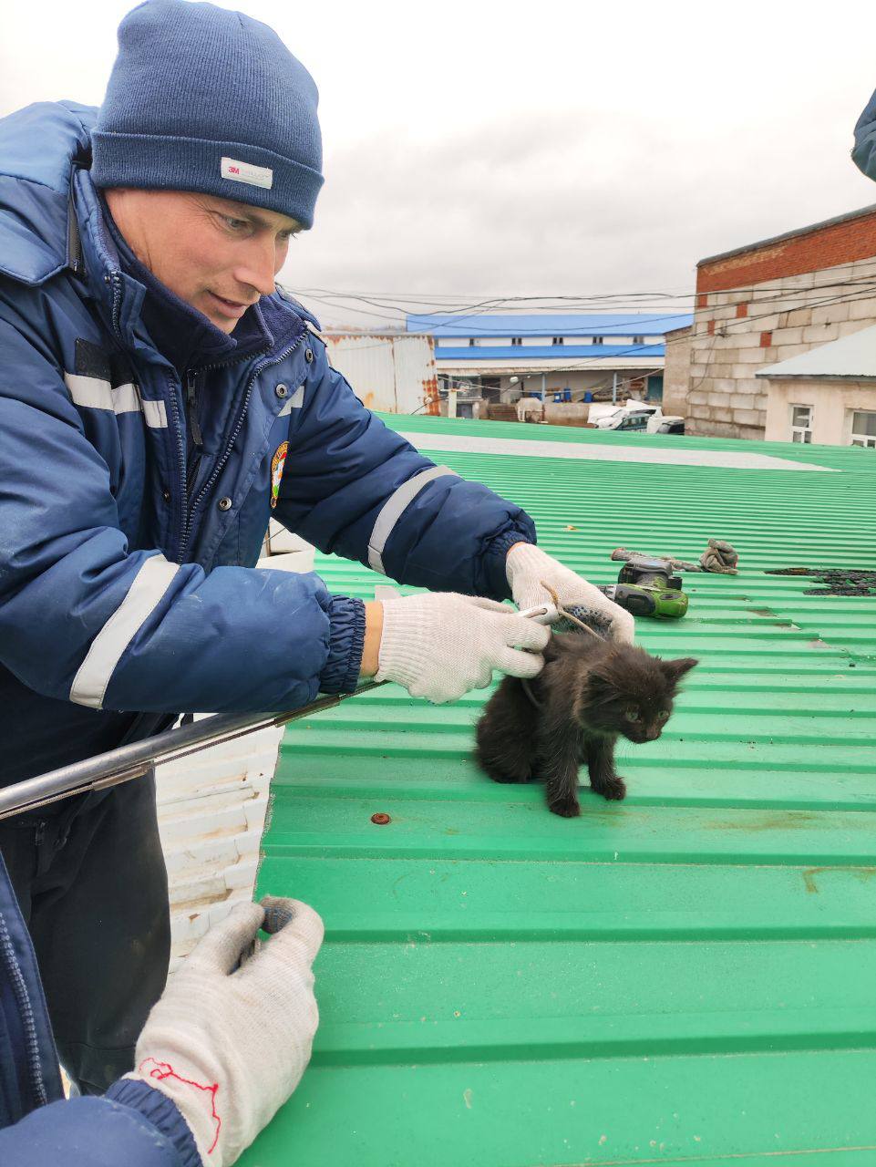 Уфимские спасатели помогли котёнку: бедняжка упал в трубу и не мог выбраться.   Услышав его душераздирающее мяукание, работники организации, расположенной в здании,  пытались вытащить пушистика сами, но не смогли.  Спасатели меньше чем за полчаса достали котёнка с глубины 4 метров и передали заявительнице.     Спутник FM – Уфимская Волна