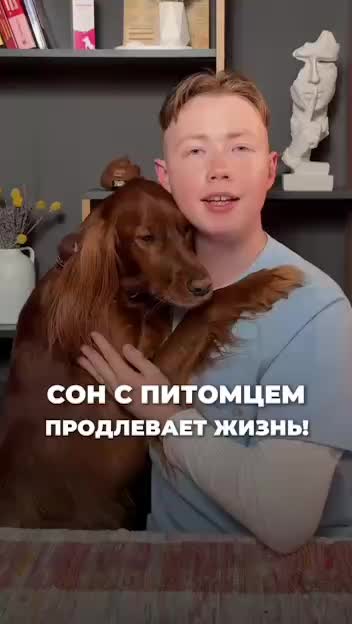 Сон с собакой способствует продлению жизни, подтверждают исследования
