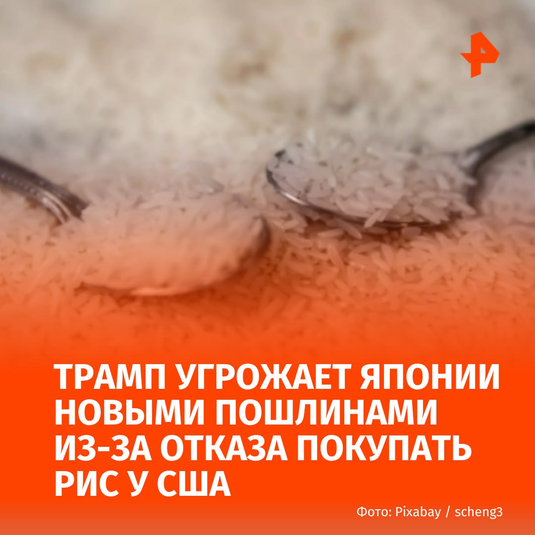 Трамп отказался от отдельной торговой сделки и угрожает Японии новыми пошлинами из-за того, что страна не хочет покупать у США рис. Об этом пишет CNN.  Однако Дональд Трамп в соцсети Truth Social отметил, что "будет рад взаимодействовать с ними как с торговым партнером в течение многих будущих лет".   По словам американского президента, поведение Токио показывает, "насколько страны избаловались по отношению к США". Он пояснил, что имеет в виду отказ Японии приобретать американский рис, несмотря на его "огромный дефицит".  Тем не менее, заявили ли японские официальные лица о прекращении закупок риса из США — неясно.  По данным Бюро переписи населения США, в прошлом году Япония купила риса на сумму $298 млн, а в период с января по апрель этого года — на сумму $114 млн.       Буст   Отправить новость