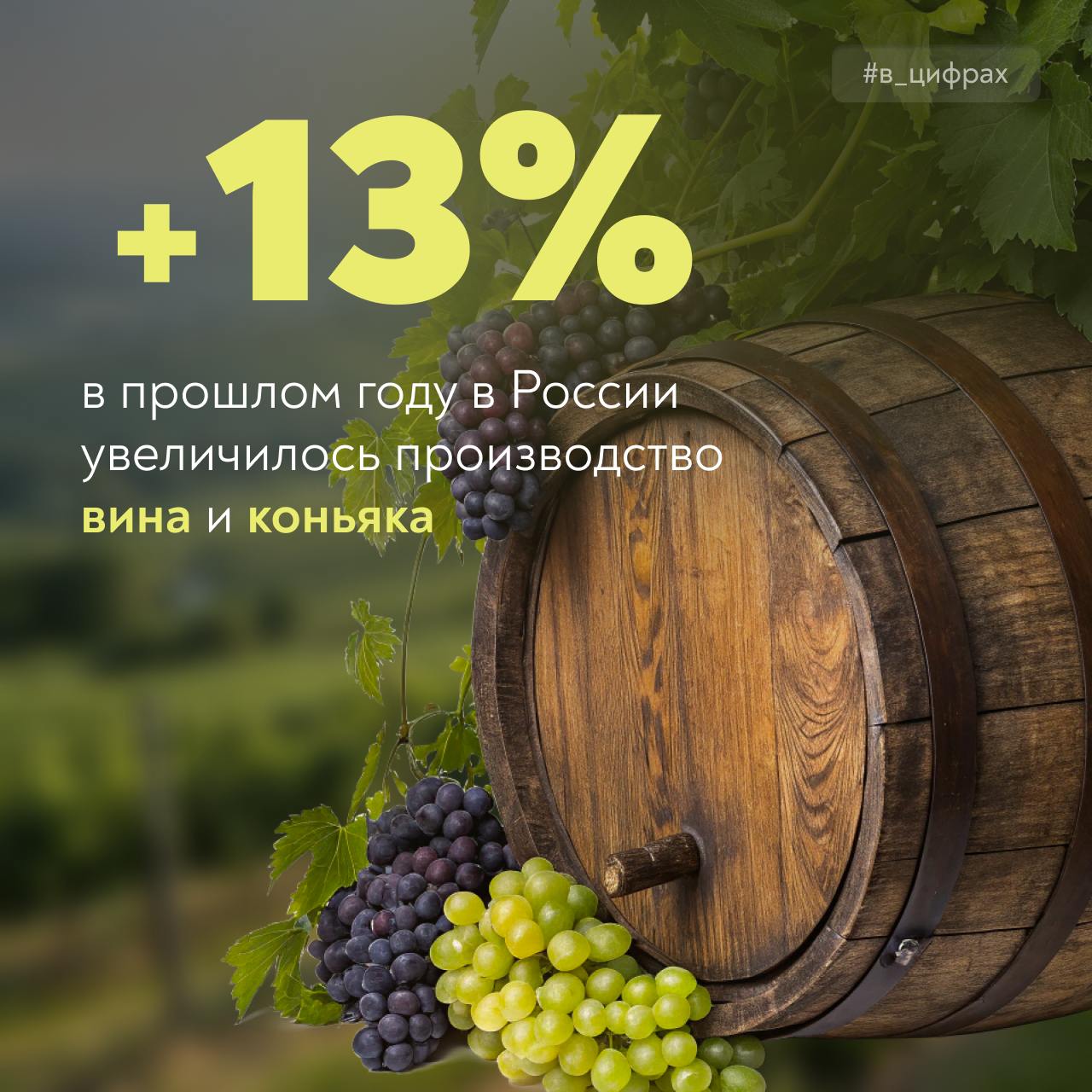 Российское виноделие    По итогам прошлого года производство вин и коньяка превысило 60 млн дал.    Выпуск тихих вин вырос почти на 9%, игристых – на четверть.  Топ-регионов по объему производства:   Краснодарский край  ~36%    Крым  ~16%    Дагестан  ~14%     Потребители все чаще отдают предпочтение отечественным винам: с каждым годом доля их продаж растет. Причем как в магазинах, так и в ресторанах.    Кстати, с 1 апреля вступит в силу новый ГОСТ, который поможет сделать российскую продукцию в винных картах заметнее.  #виноделие #в_цифрах